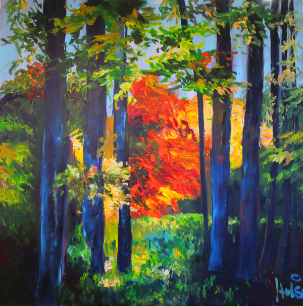 Caroline Hulse Nuney woods passionate landscapes